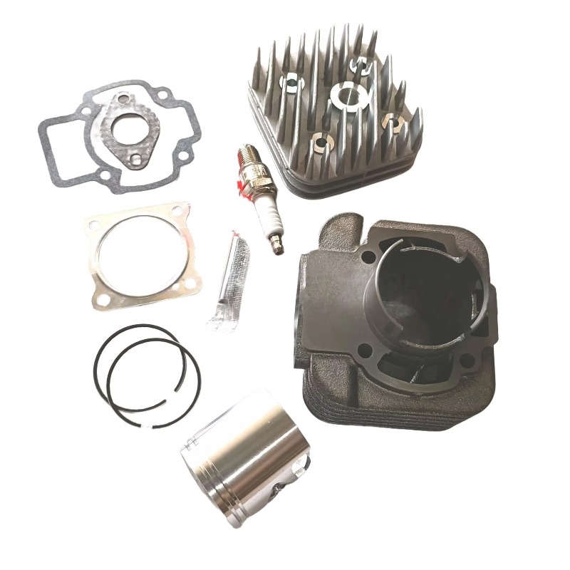 OEM 2-السكتة الدماغية لبياجيو  - مراجعة Motorcycle Cylinder وسعره