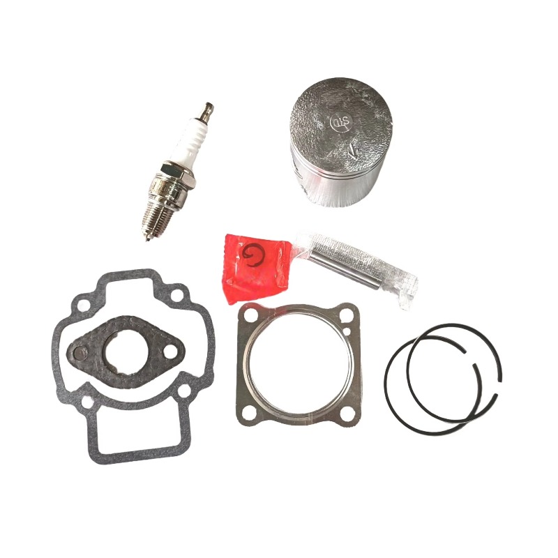 OEM 2-السكتة الدماغية لبياجيو  - مراجعة Motorcycle Cylinder وسعره