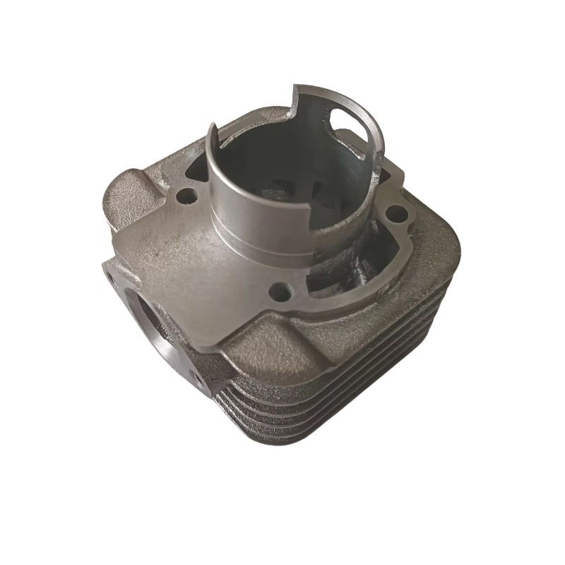 OEM 2-السكتة الدماغية لبياجيو  - مراجعة Motorcycle Cylinder وسعره